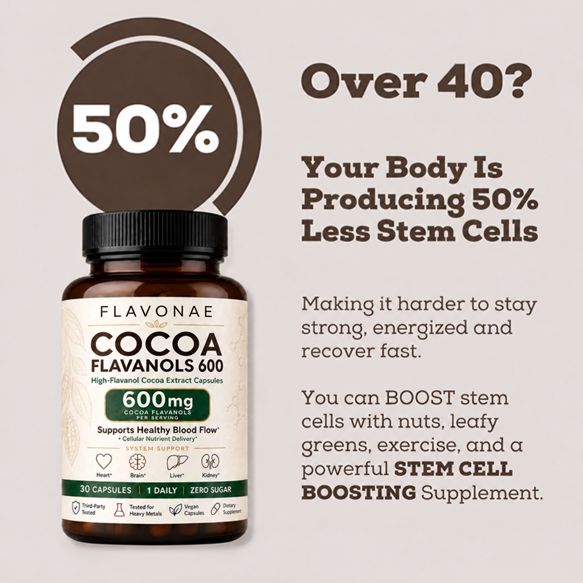 Flavonae Cocoa Flavanols Capsules